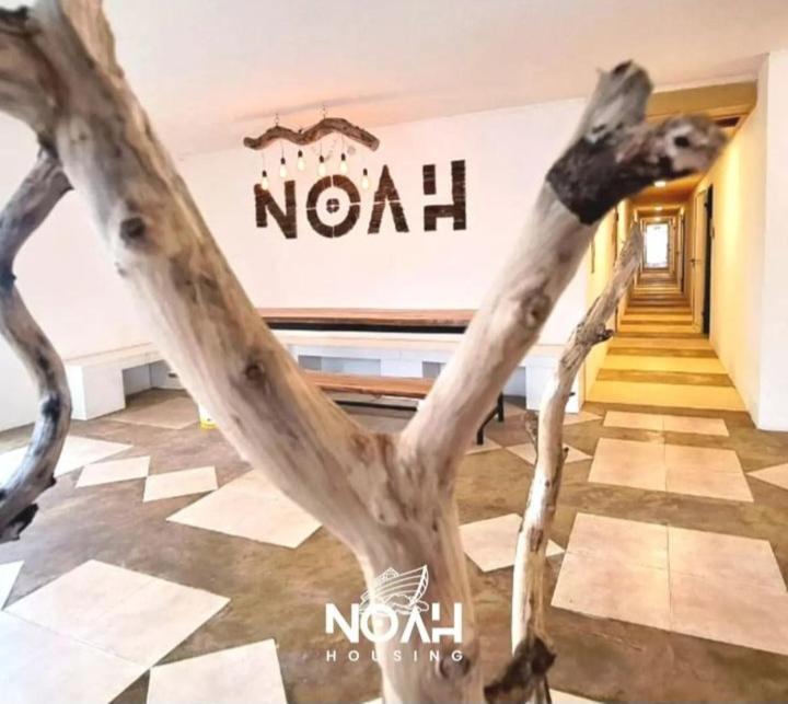 Noah Housing Pansiyon Santo Tomé Dış mekan fotoğraf